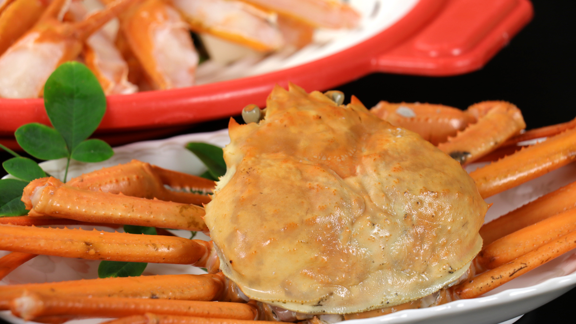 《香住蟹（紅ガニ）》茹で蟹は蟹酢でサッパリとお召し上がりください。