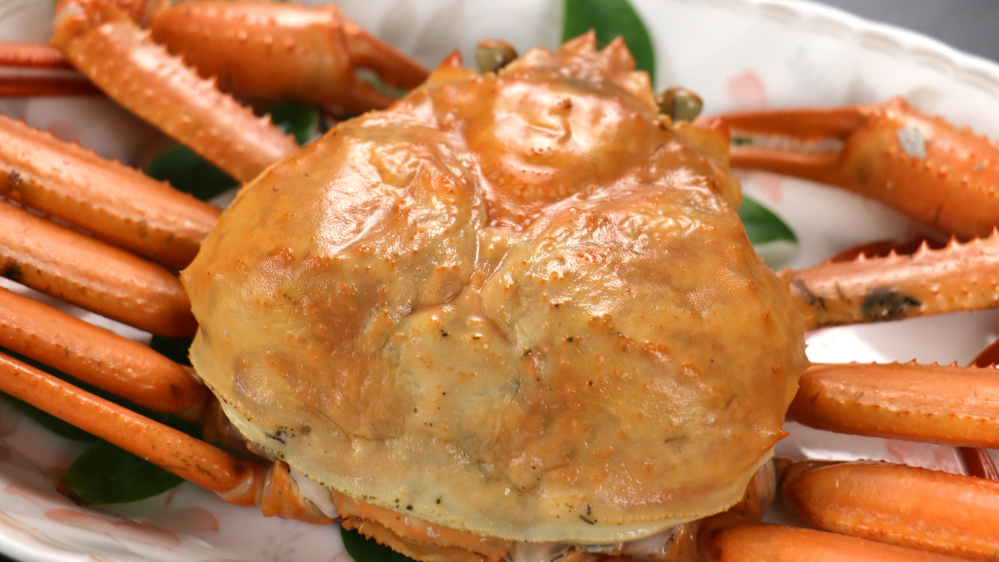 《香住蟹（紅ガニ）》ズワイと違って小ぶりですが、甘みが強くジューシーな味わいです