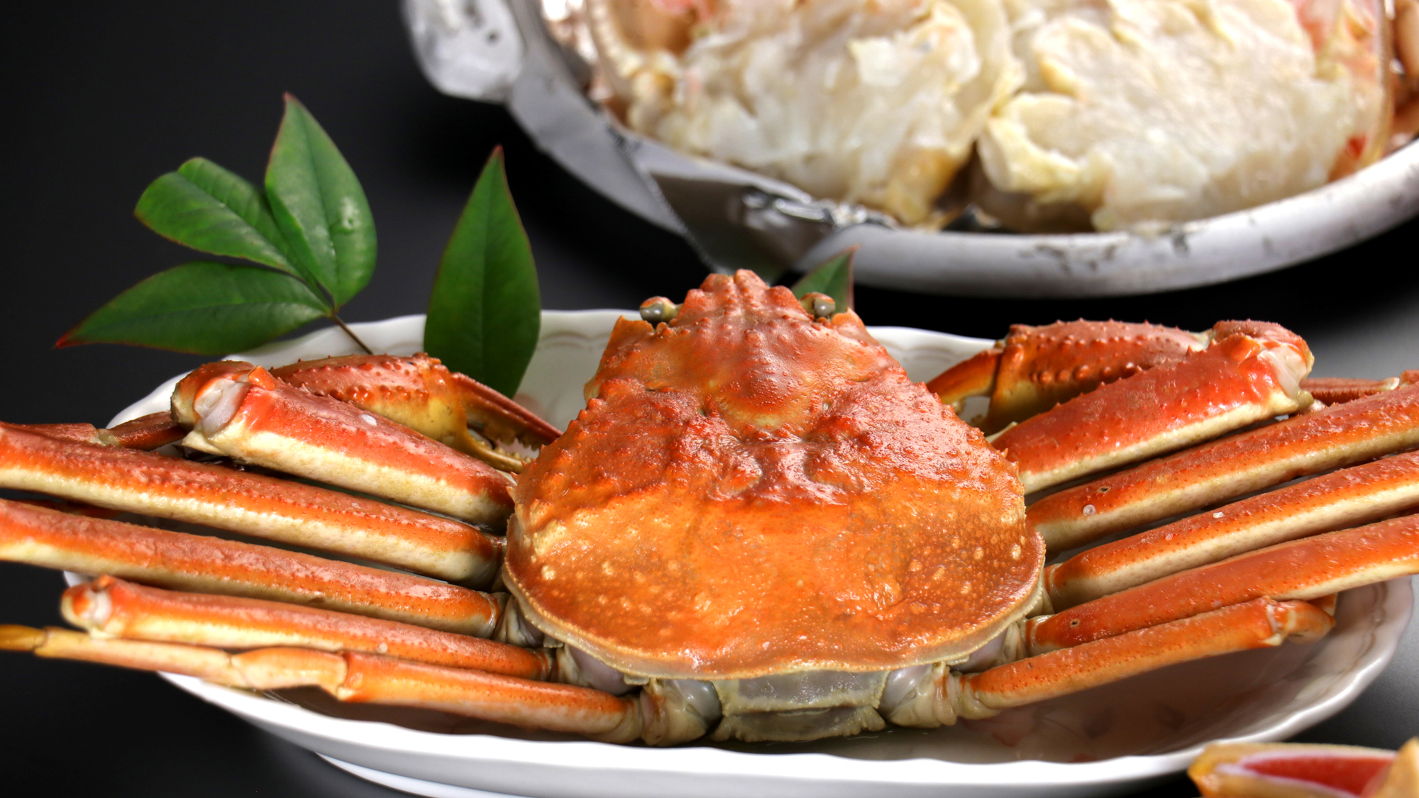 【ズワイガニ贅沢フルコース】では茹で蟹か蟹天婦羅かお選びいただけます。茹で蟹は１杯、蟹天婦羅は半杯で