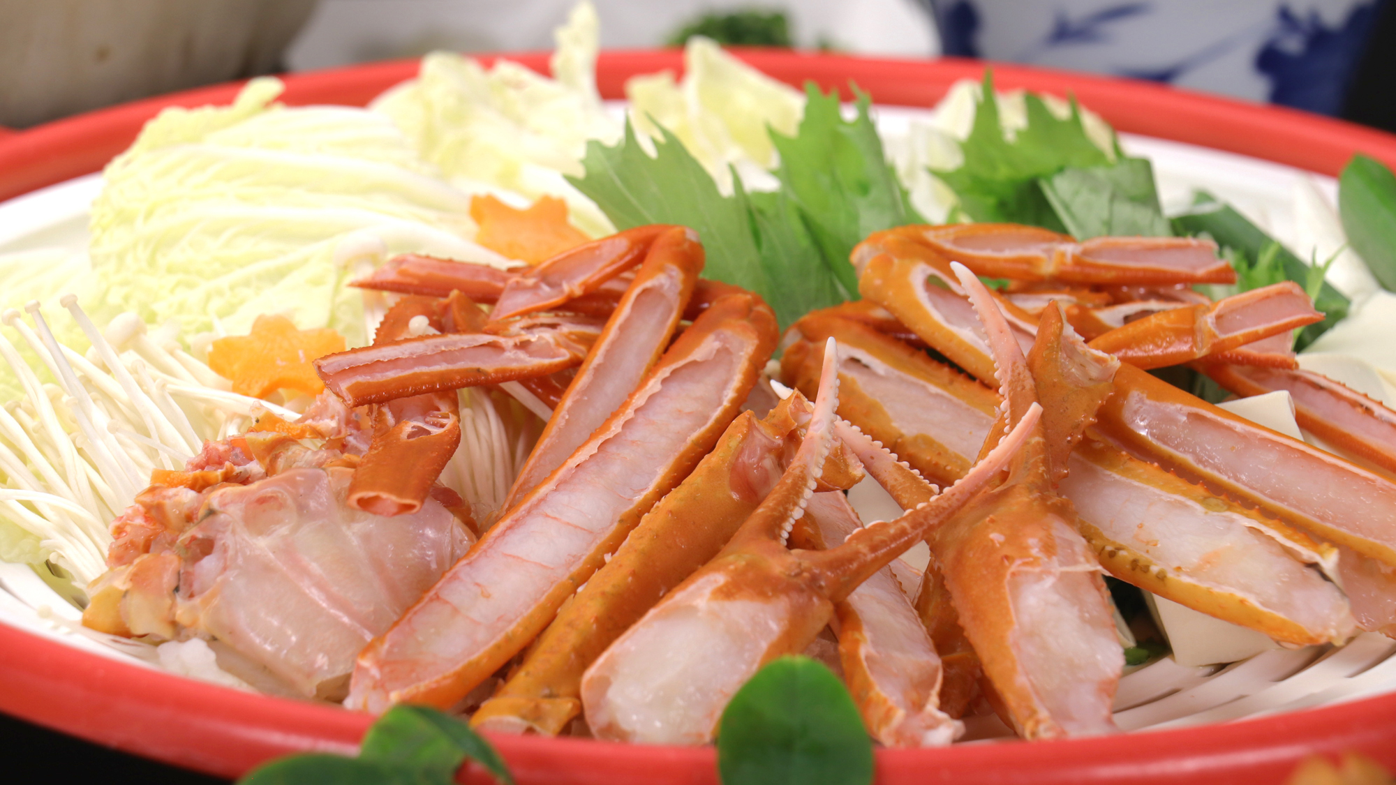 《香住蟹（紅ガニ）》カニチリ鍋は〆まで美味しい♪食べられるのは春＆秋のみ