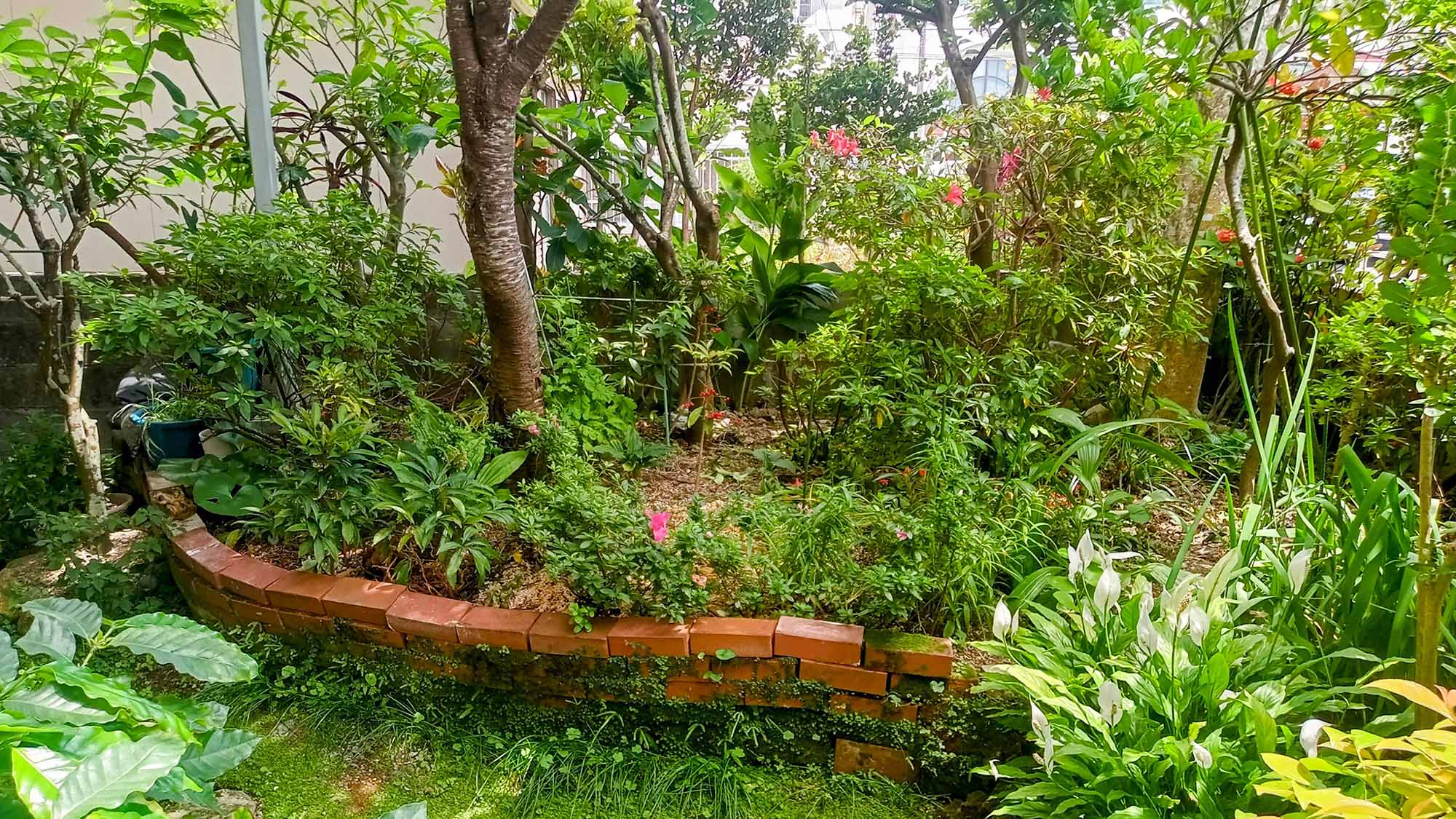 ・【庭】季節によってさまざまな花が咲き、美しい姿を見せます