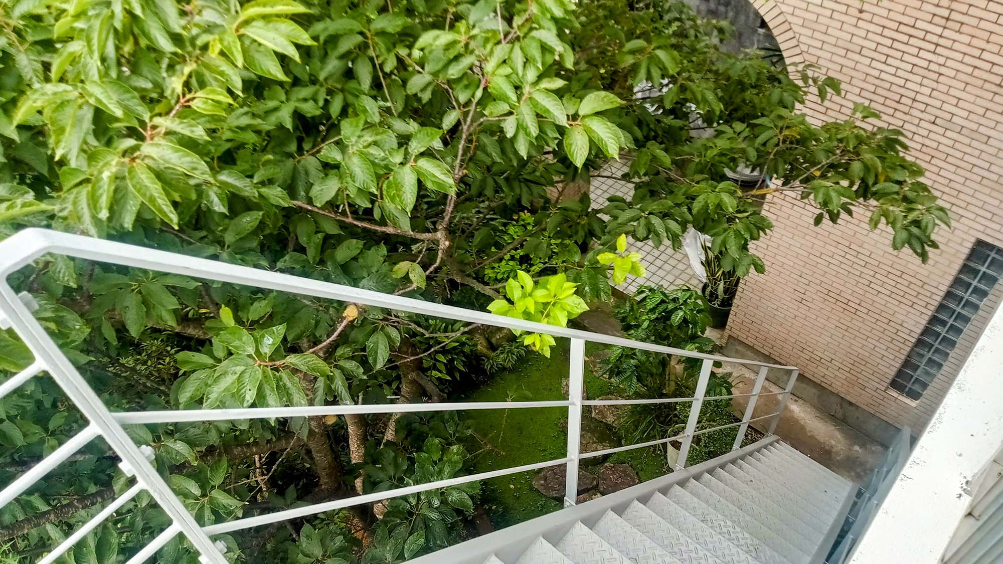 ・【外階段】2階からはこちらの階段をご利用いただけます