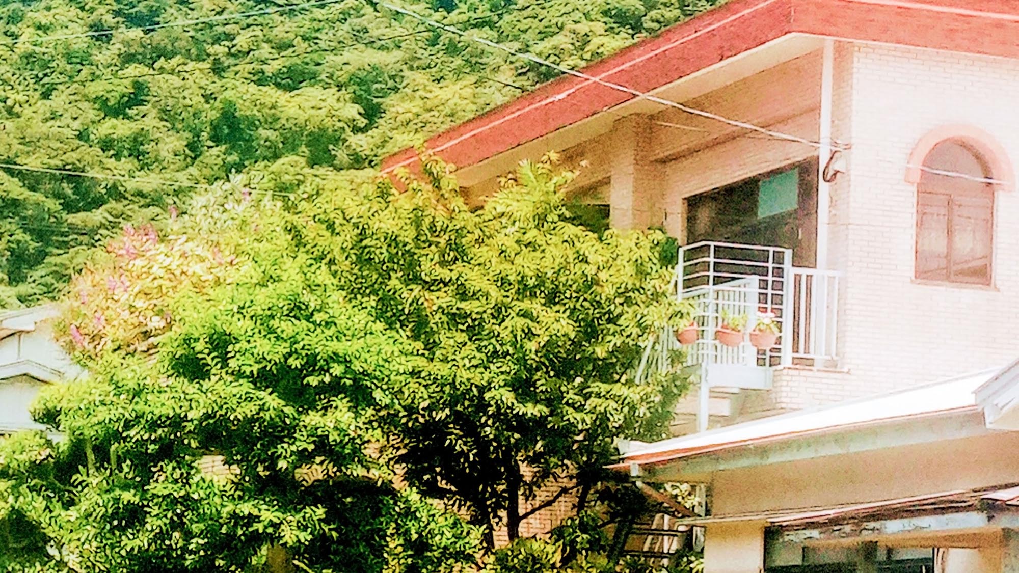 ・【外観】自然いっぱいの環境でのんびりとお過ごしいただけます