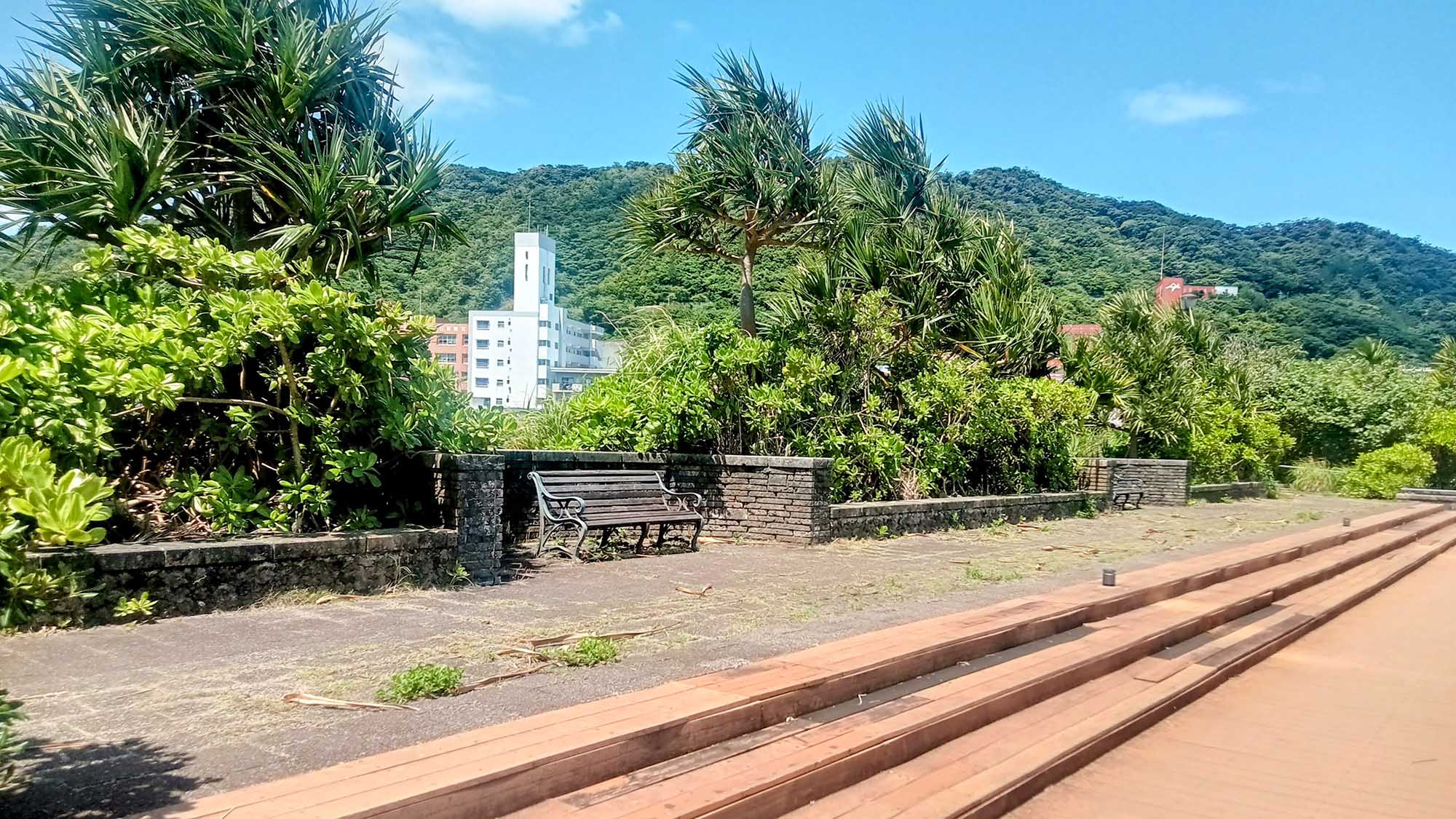 ・【周辺】南国らしい植物がたくさんでリゾート感満載！