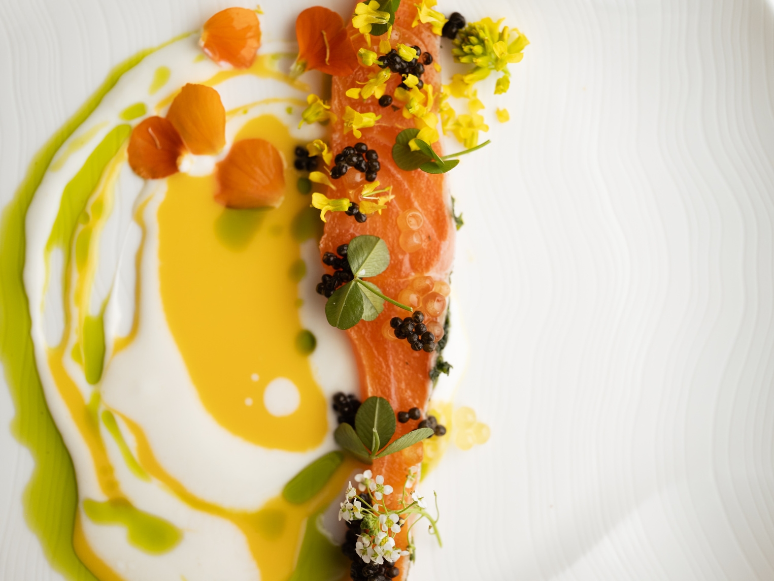 【スペシャリテ】信州風土の恵、命の一皿　フレンチコース　1泊2食　（連泊）