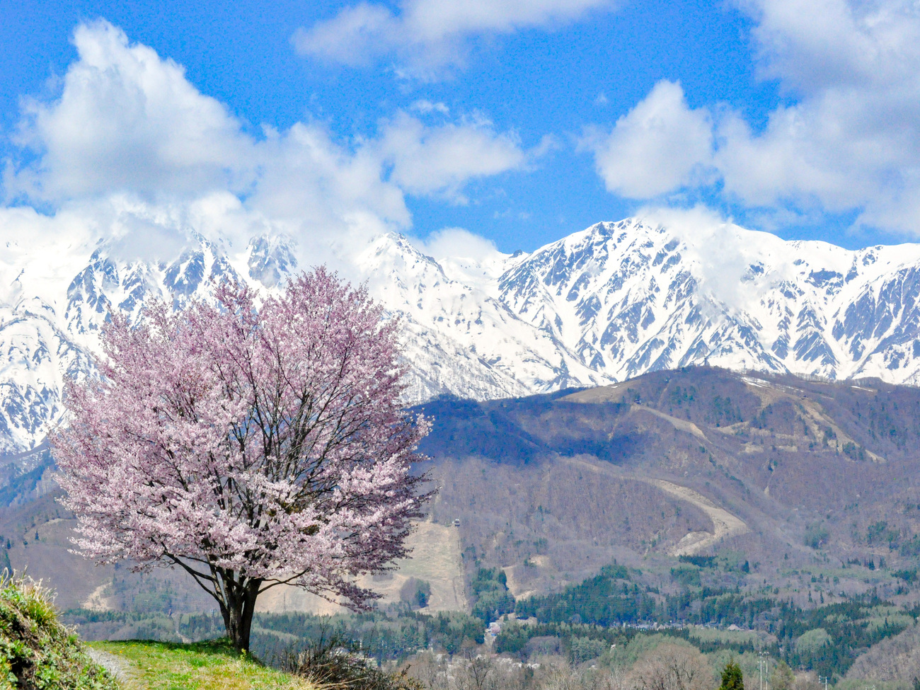白馬村　野平