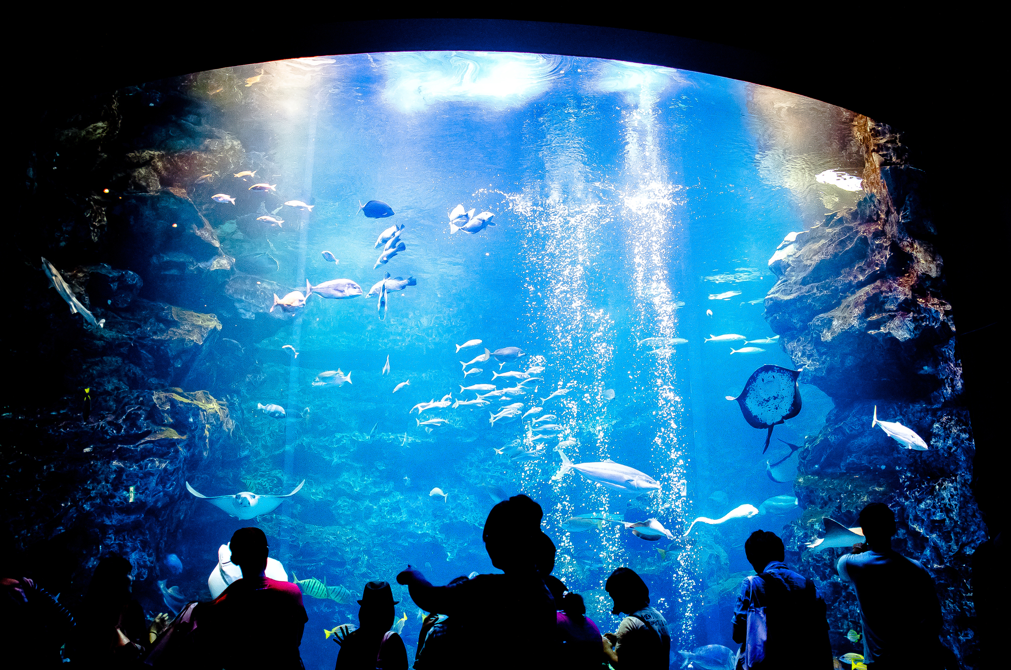 京都水族館☆