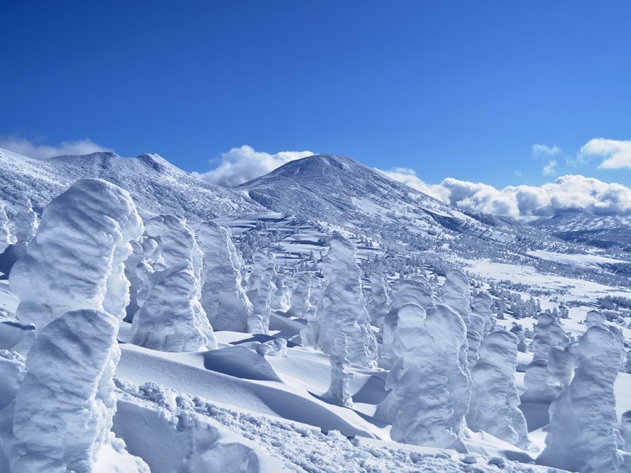 Deep Nature ＆ Wellness Immersion 八甲田を巡る1日貸切タクシー旅＞