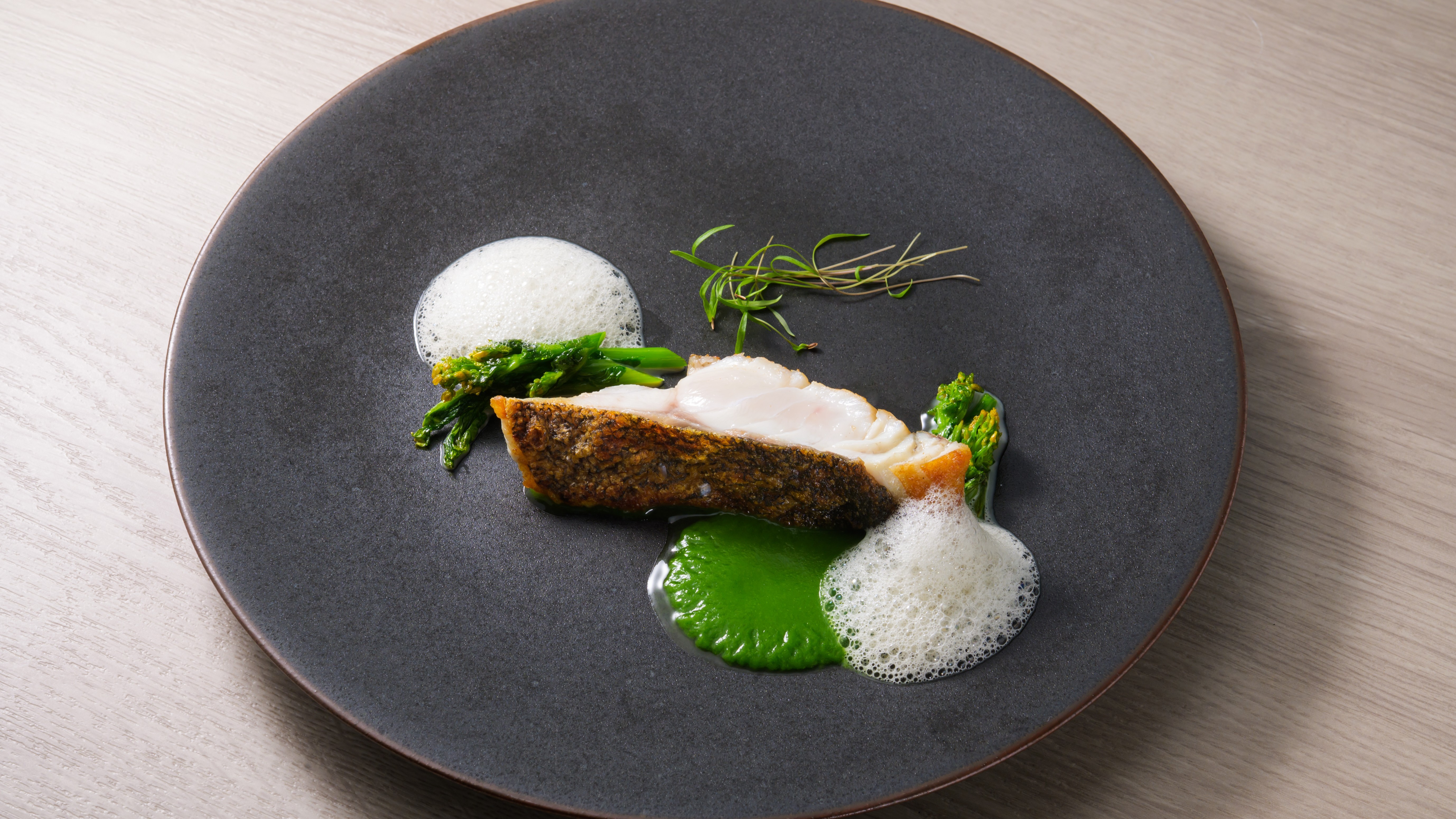 【Spring Course 2026】海原と春薫