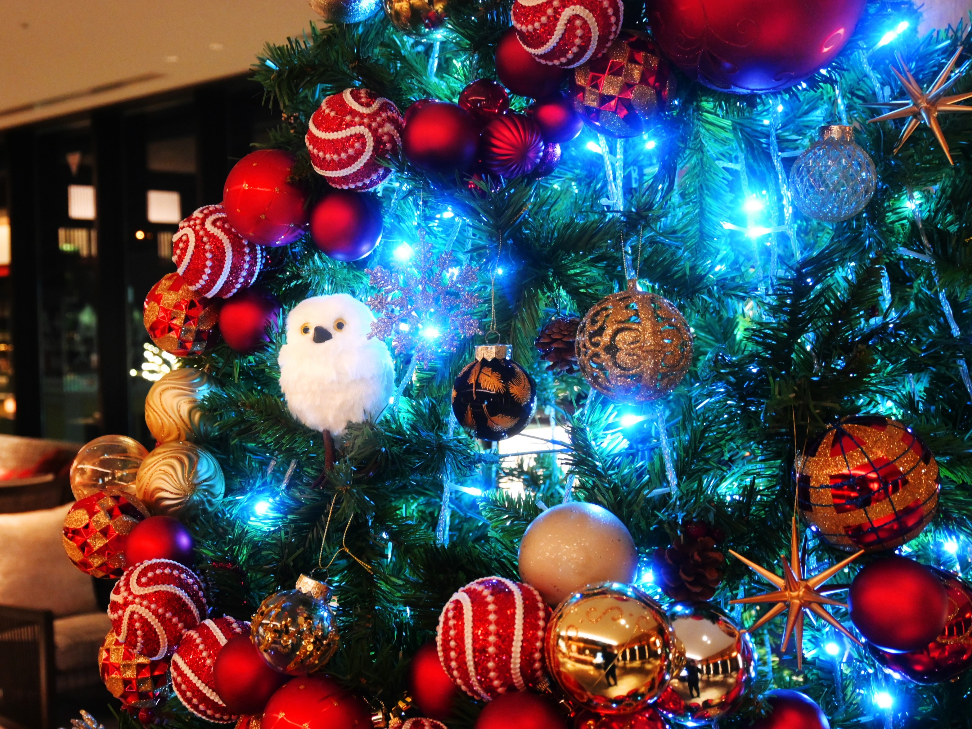 クリスマス風景①