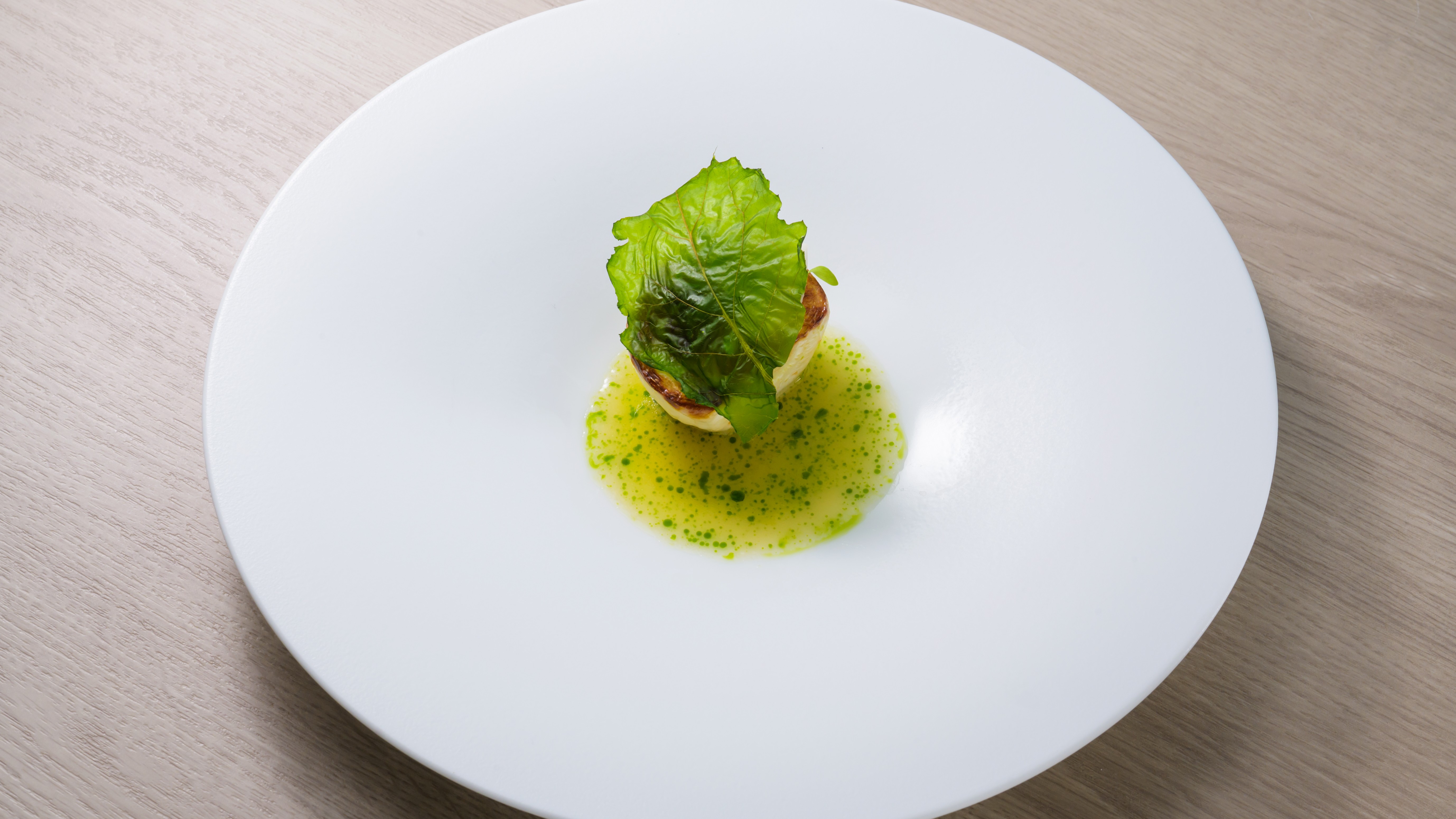 【Spring Course 2026】白春と春風