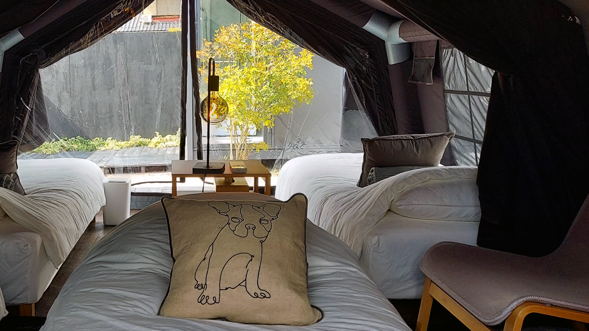 【グランピングテント】窓からは敷地内の庭が眺められます。ゆったりとした時間をお楽しみください。