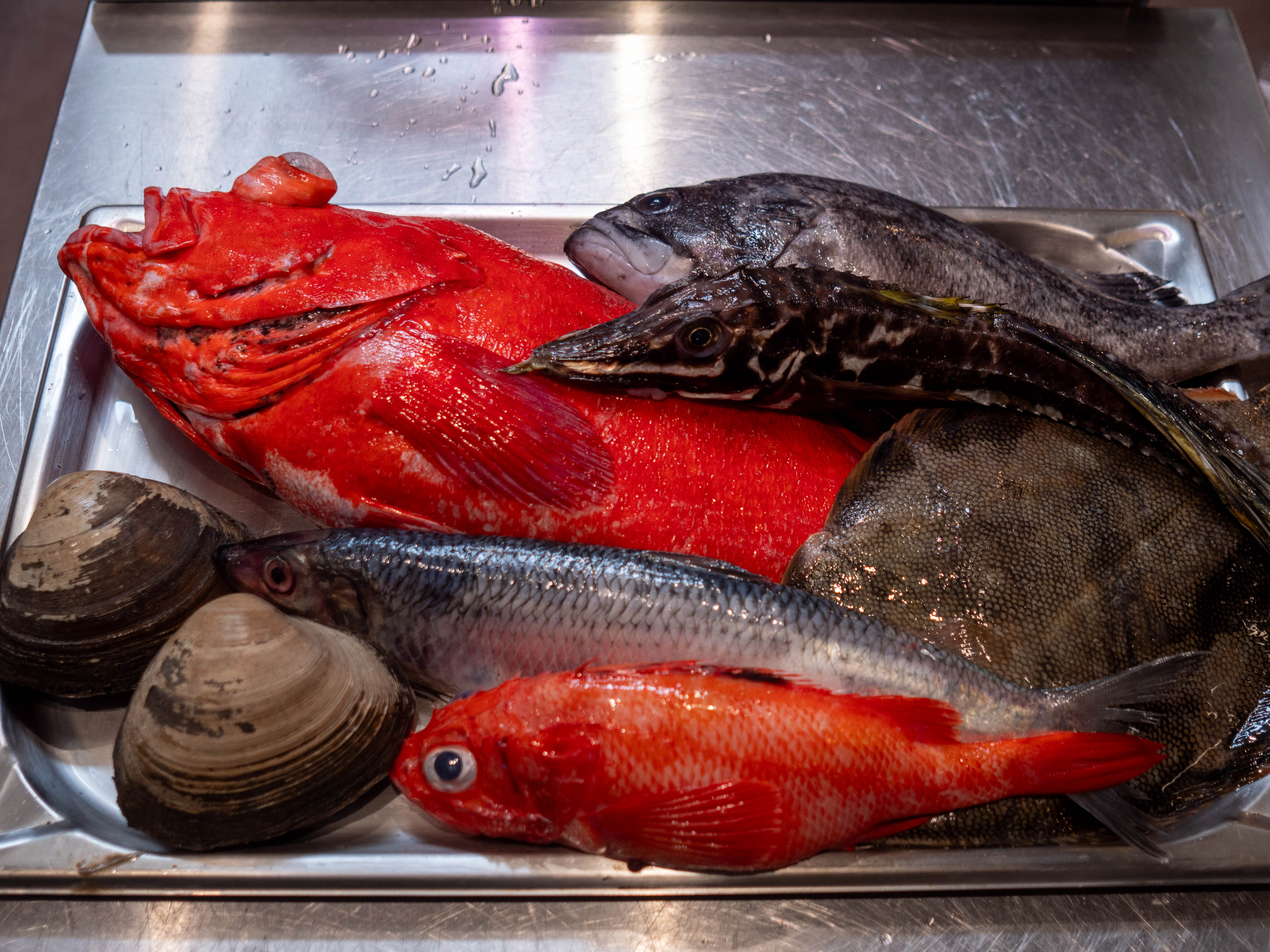 北海道ならではの旬の魚
