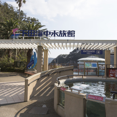 【下田観光】下田海中水族館