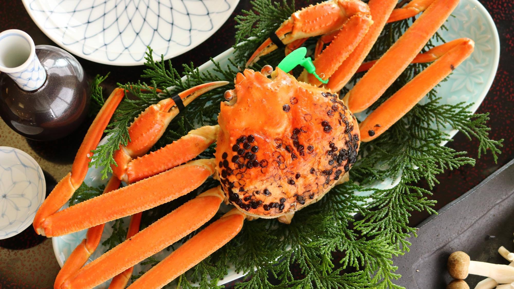 【ブランド蟹を気軽にお試し①】間人ガニ0.5杯+ズワイガニ一人1杯｜和みコース