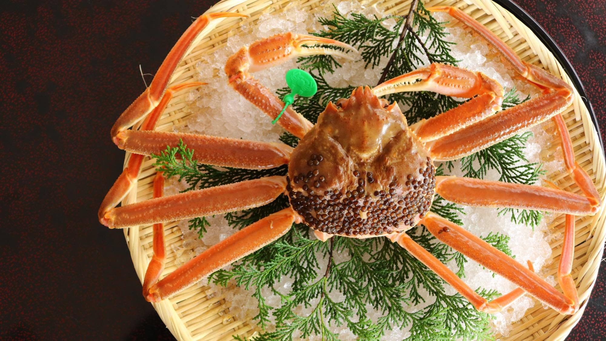 【ブランド蟹を気軽にお試し②】タグ付き活間人ガニ一人1杯+ズワイガニ2人で1杯｜学びコース