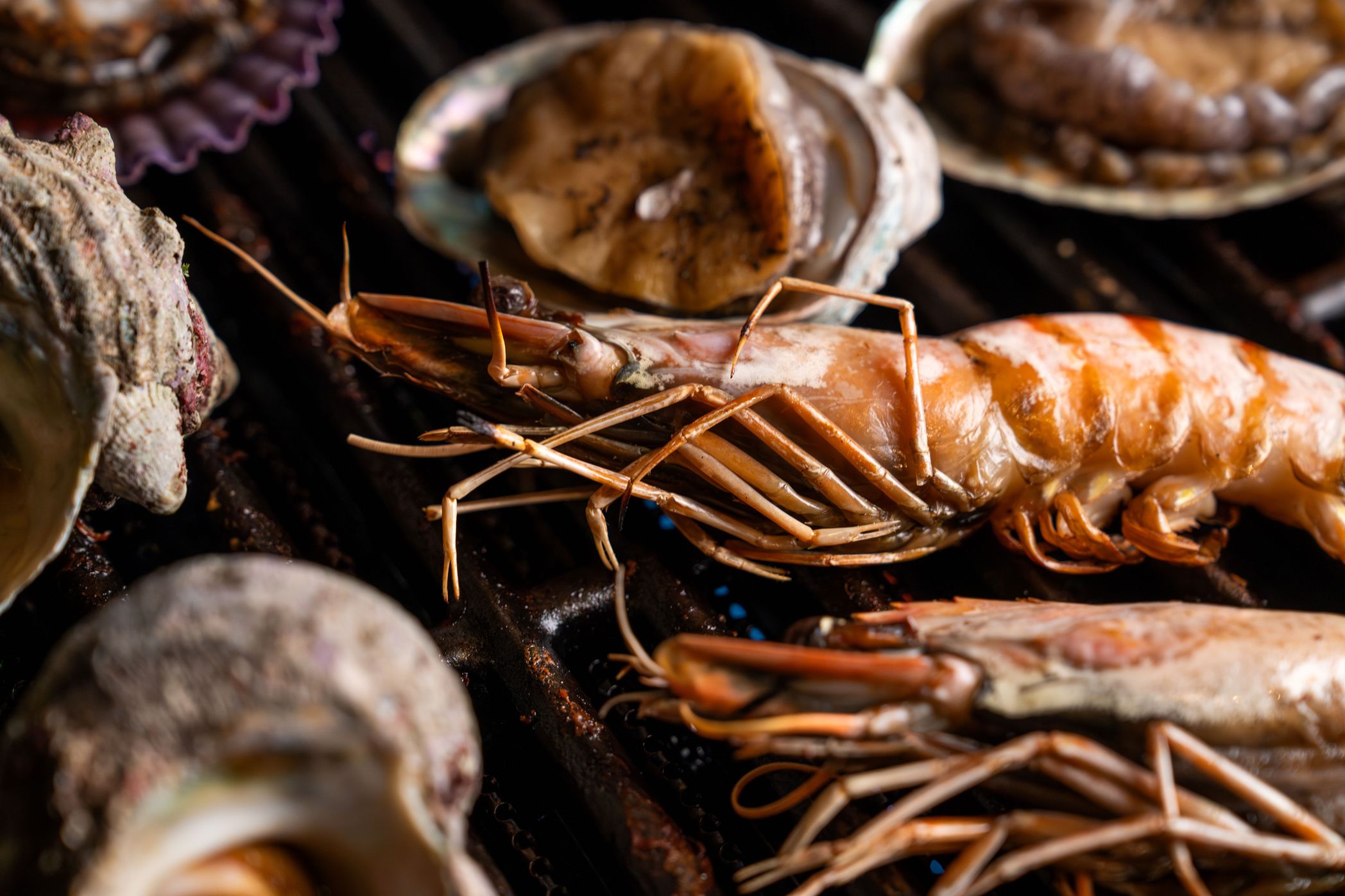 【天然露天温泉付き】食べ比べプレミアムBBQコース〜絶品の紀州和華牛をBBQで堪能