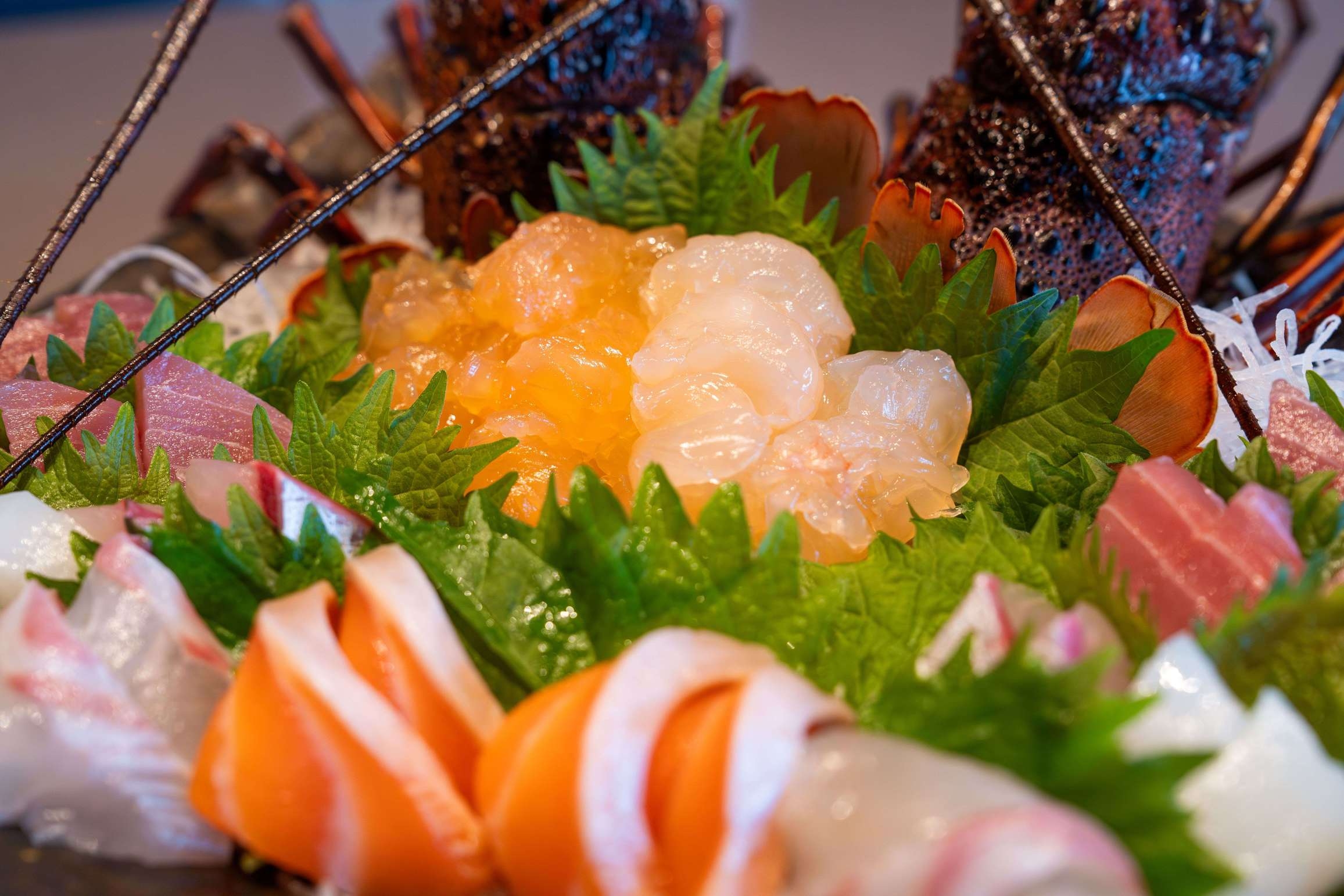 【お部屋食】 和歌山名物 クエ鍋コース◆幻の高級魚を美味しい鍋でいただくプラン