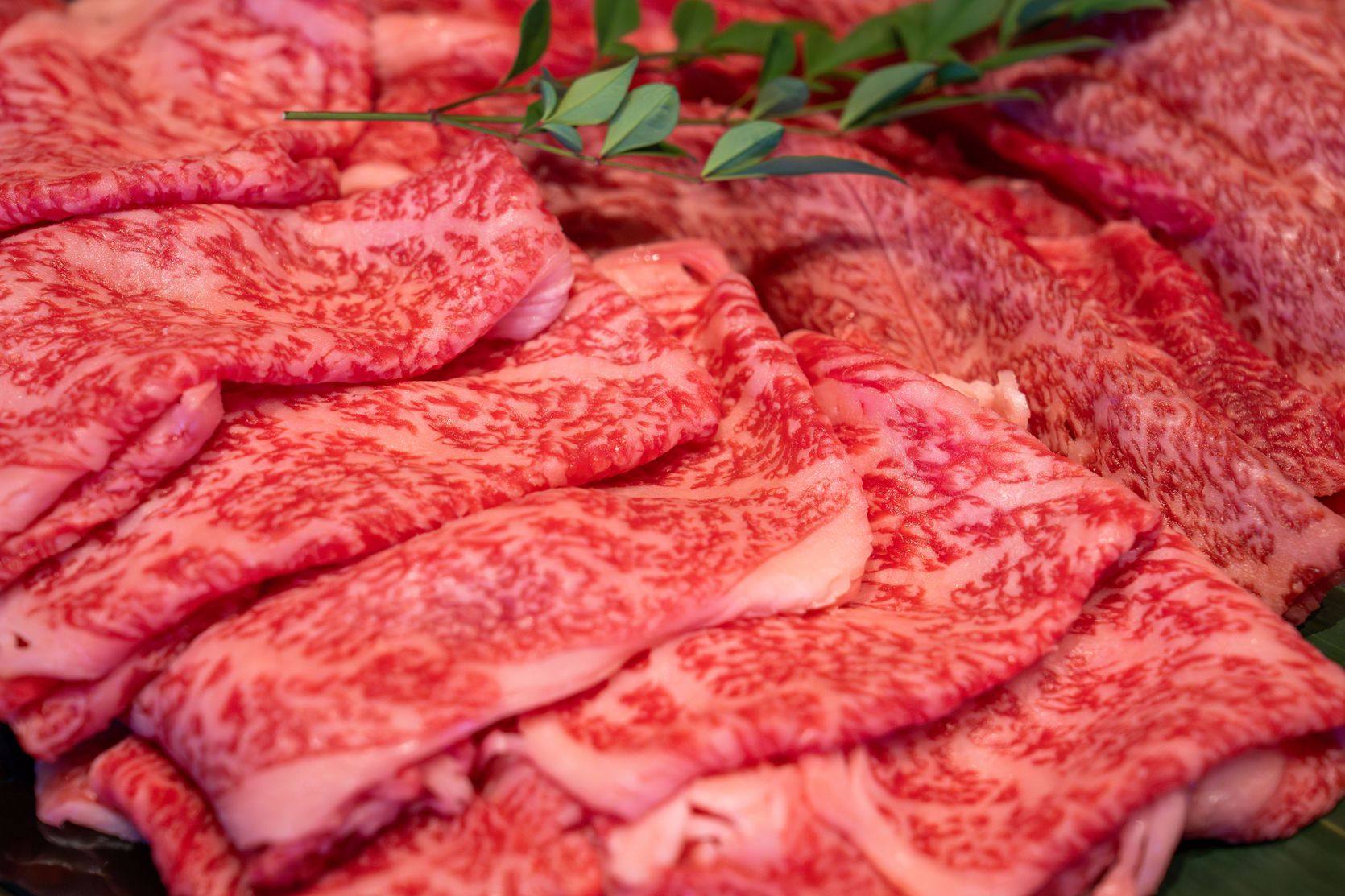 【お部屋食】 ◆和華牛すき焼きコース◆和歌山県ブランド肉”和華牛”