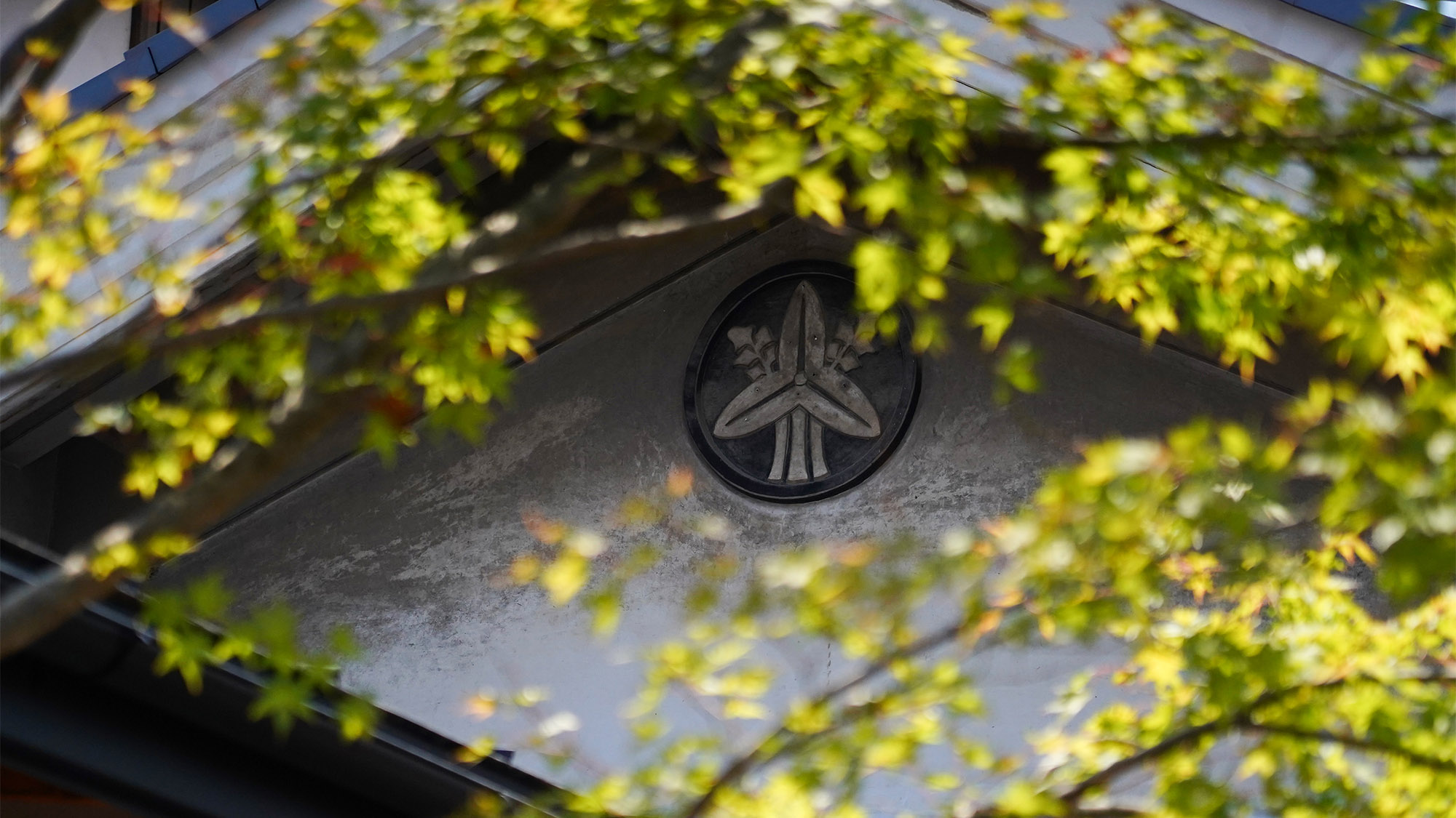 ・【中庭】春夏秋冬、季節によって異なる表情をご覧いただけます