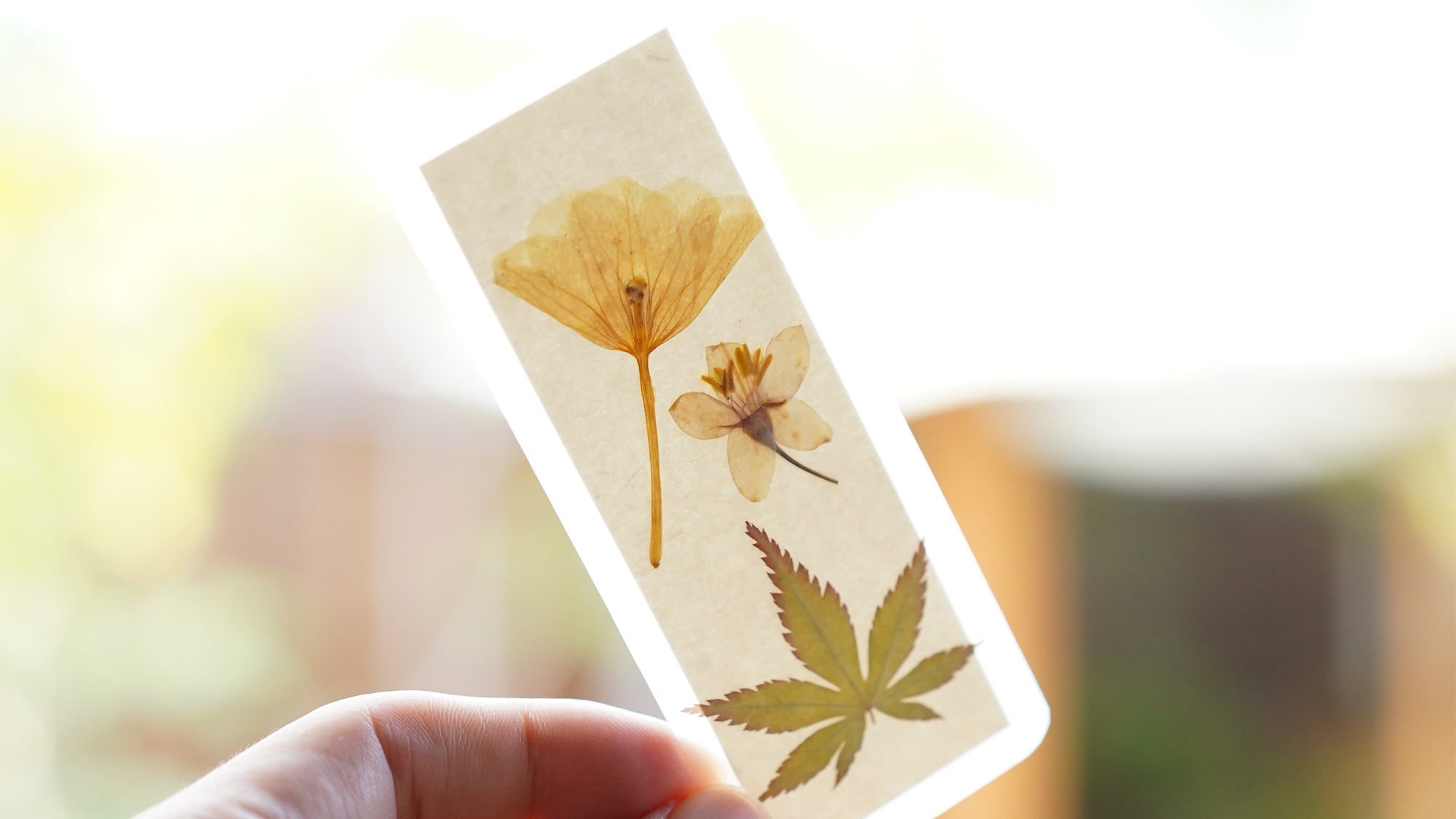 ・【DOZO図書館イメージ】忙しい日常では得られない贅沢なひと時をお過ごしください