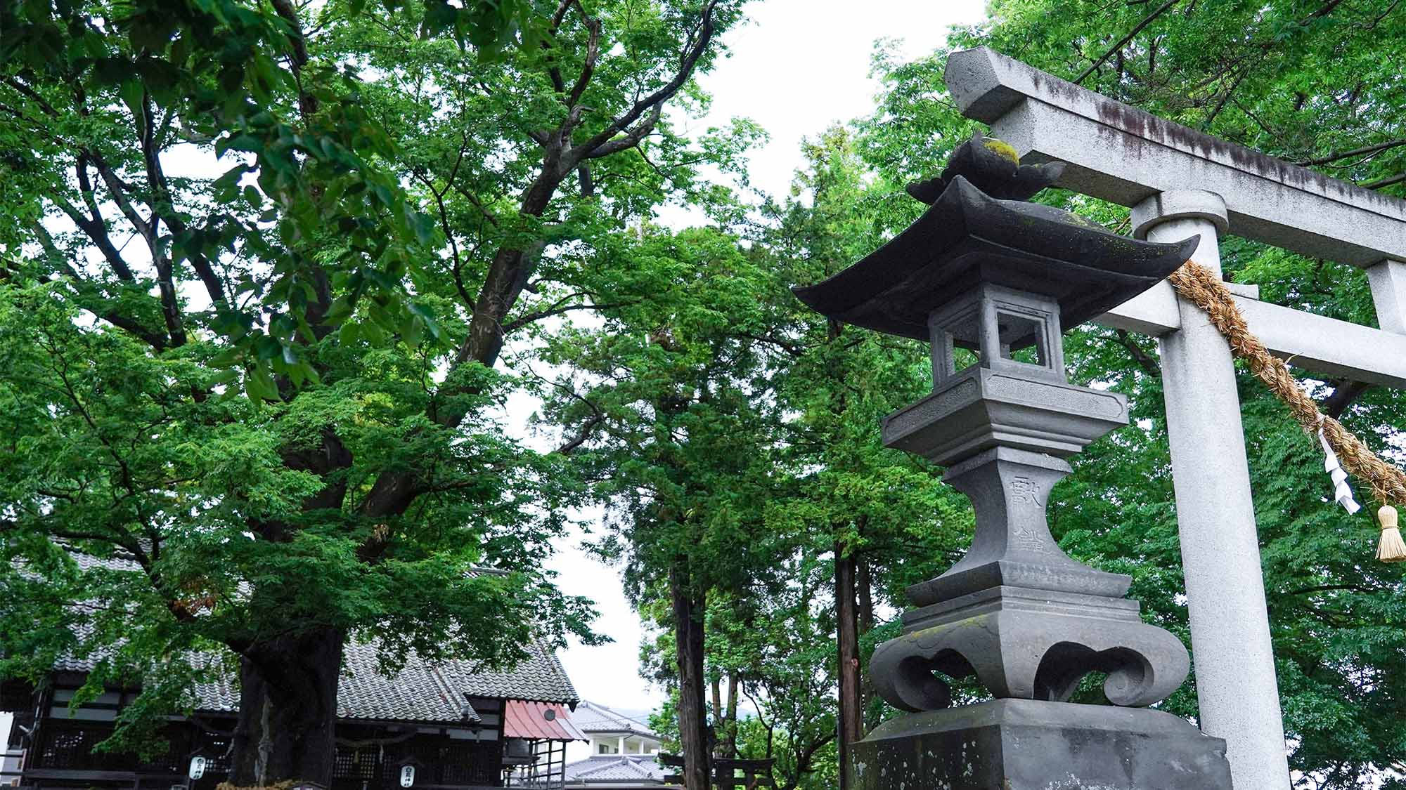 ・【白鳥神社】古い歴史を誇り、日本武尊ゆかりの神社として知られています