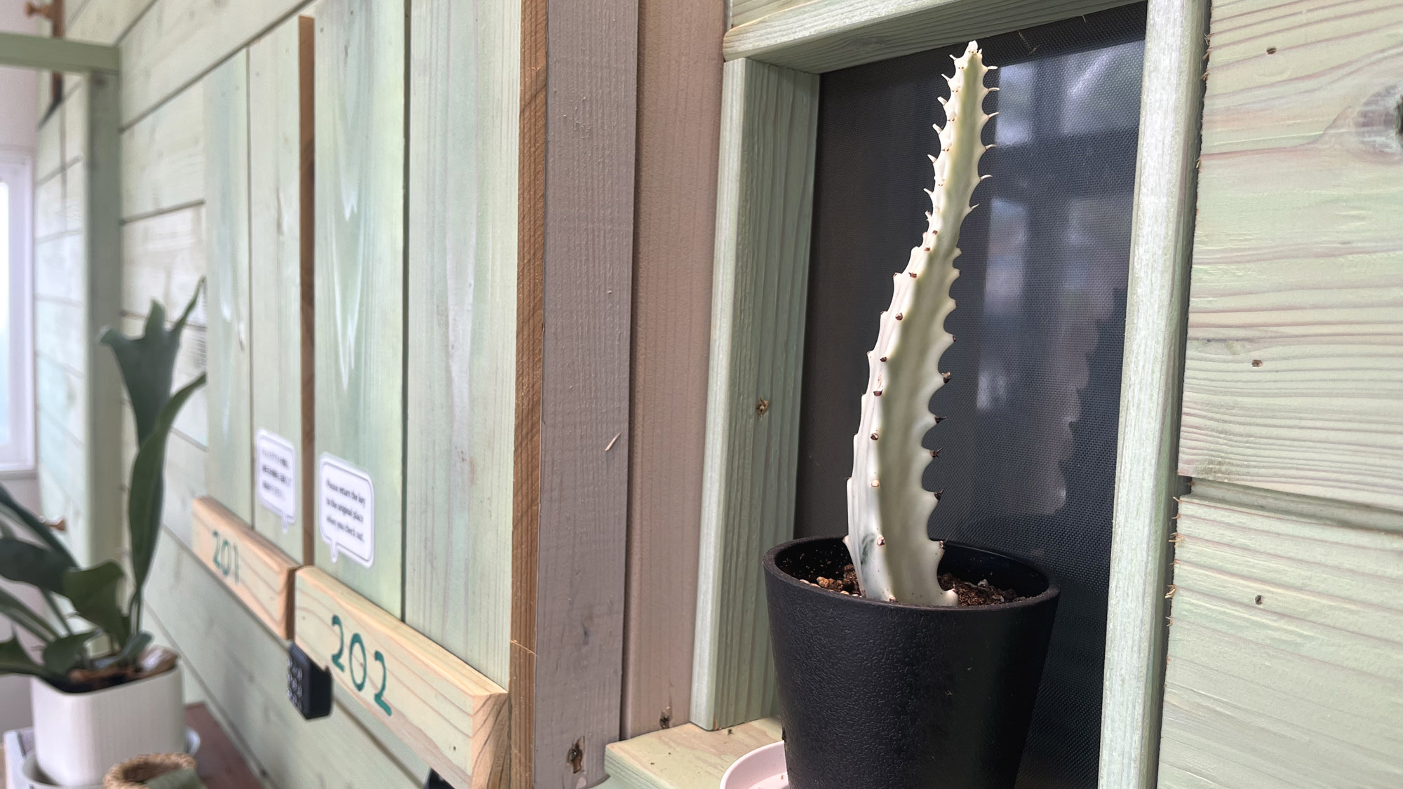 施設：イメージ