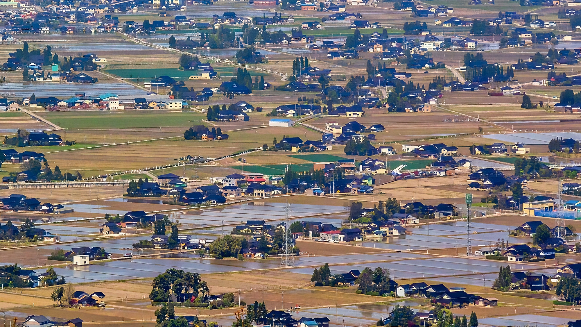 ◆砺波平野の散居村