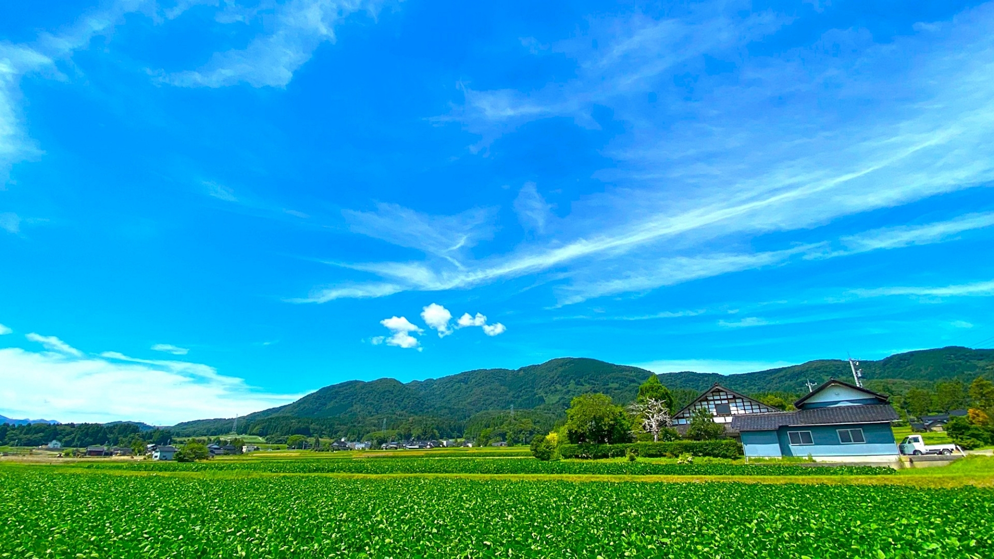 ◆夏の砺波平野