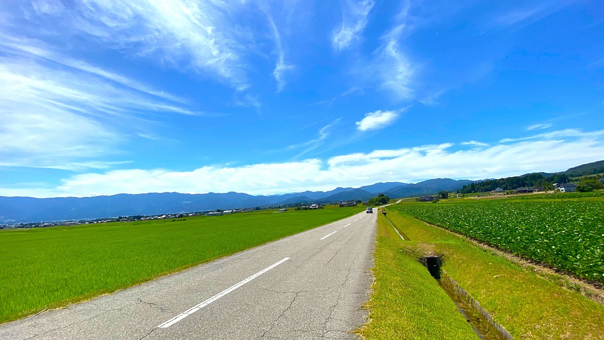 ◆夏の砺波平野