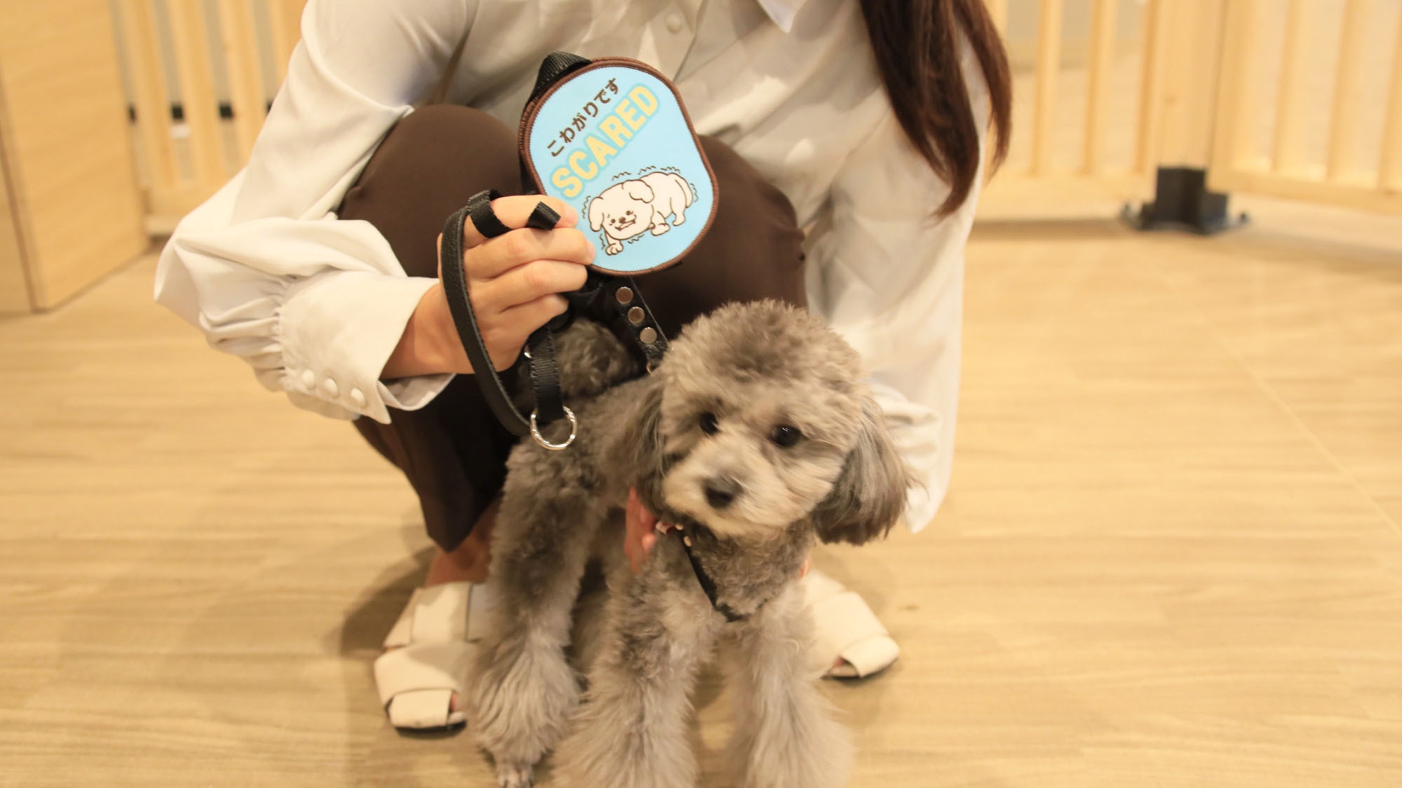 楽天限定【平日ゆったり箱根旅】平日がオトク！ふらっと旅でもっと気軽にステイプラン＜▽季節限定会席＞