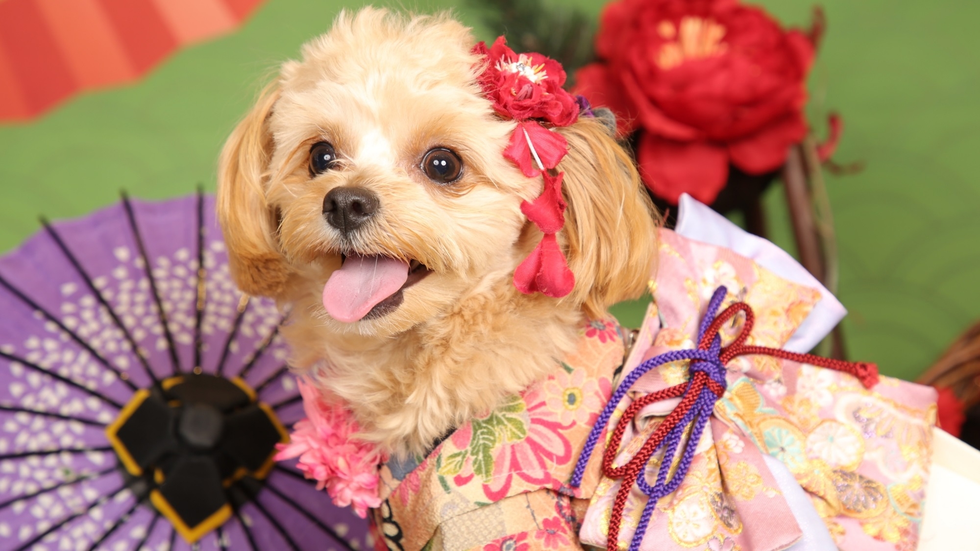 【2026迎春】≪12/31-1/2限定≫特別夕朝食付きプランで新年をお祝い＜※年末年始特別会席＞