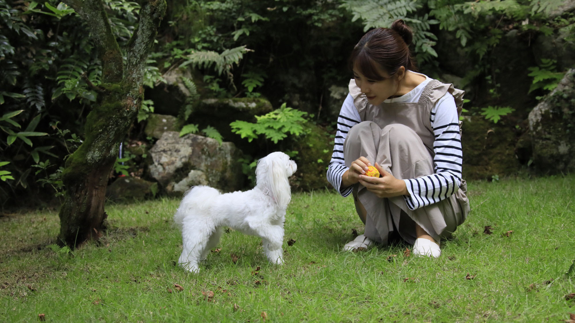 【さき楽28×特選】28日前までのご予約でお一人様3，300円Off＆愛犬利用料無料＜■特選鍋会席＞