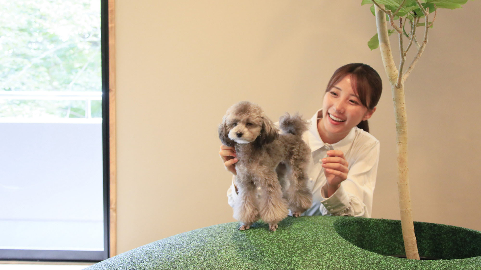 【基本会席】滞在中は愛犬とずっと一緒！当館のスタンダードプランを愉しむ箱根旅＜★基本鍋会席＞