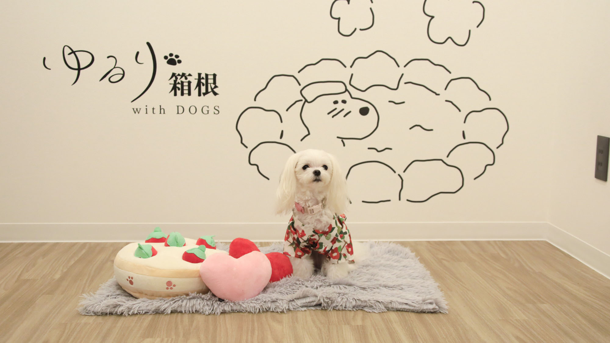 【素泊まり】チェックインは22時まで／愛犬との旅行を自由気ままに＜食事なし＞