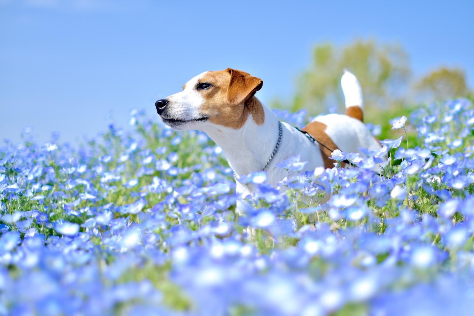 【GW×早期割×お部屋食】早期予約でお二人で最大4，400円引き＜□特選鍋会席／お部屋食＞
