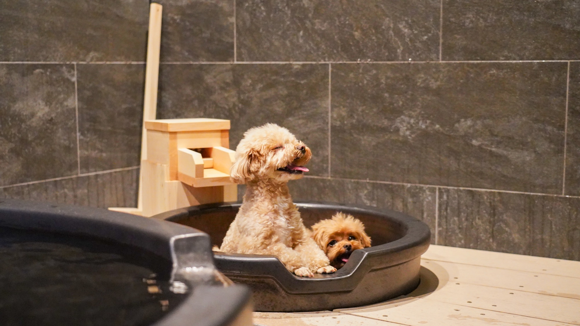 【貸切温泉】わんちゃんと安らかな時間を　※わんちゃんはわんこ用湯舟でご入浴ください