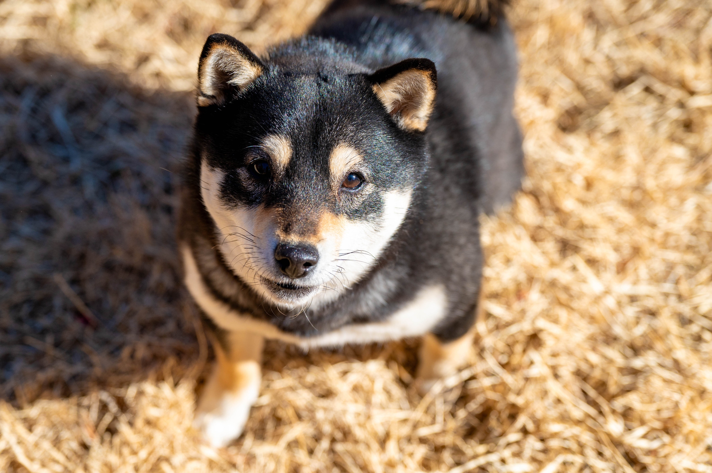 【平日・特定日限定】最大20％OFF！素泊まりプラン