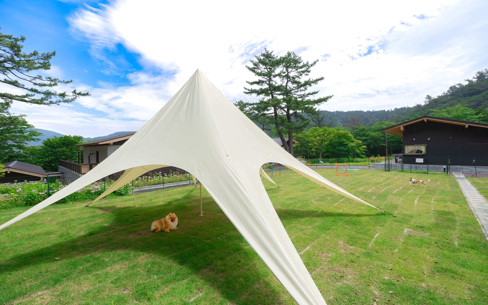 【平日・特定日限定】最大20％OFF！素泊まりプラン