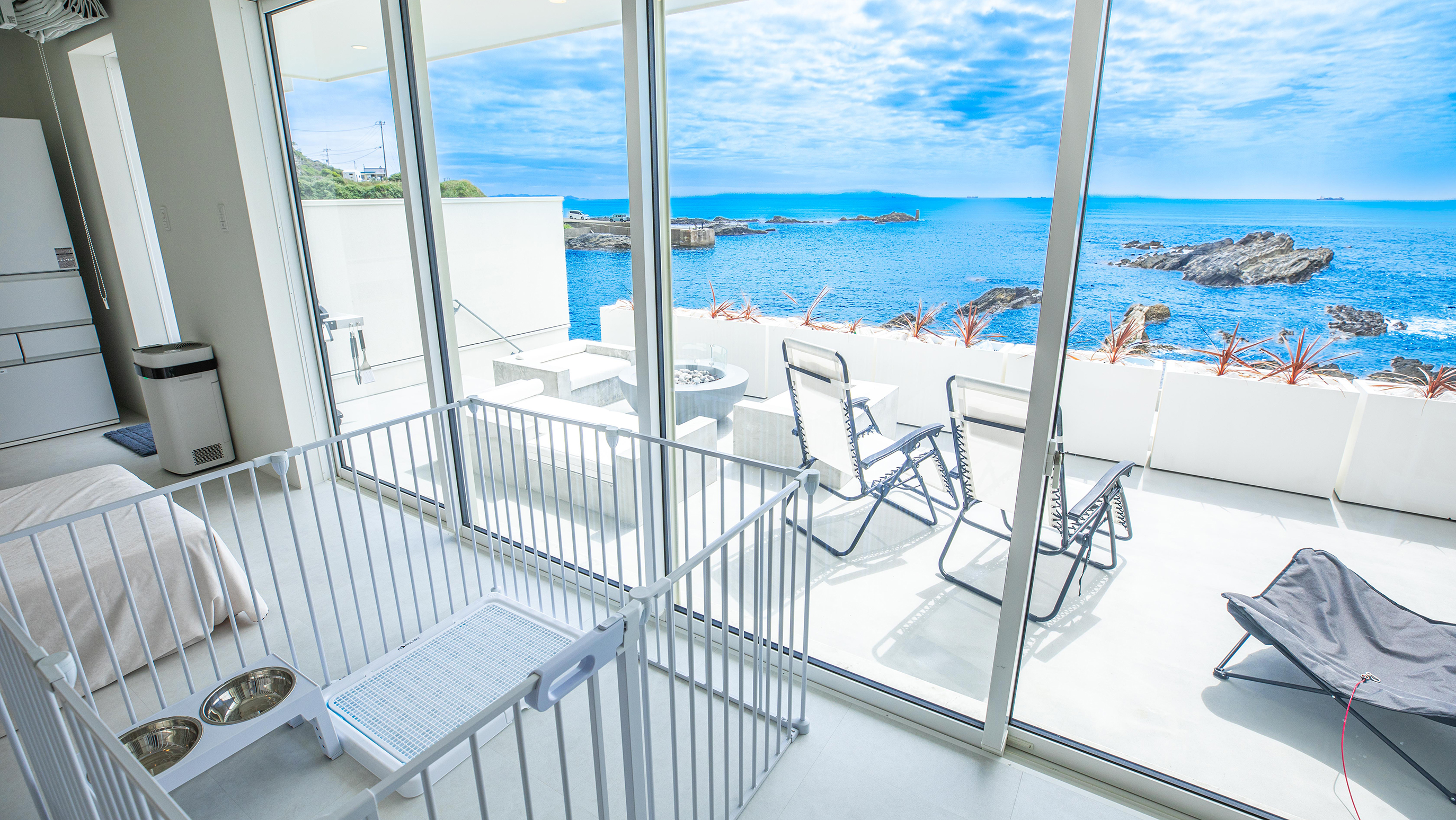 ケージ_ペットプラン