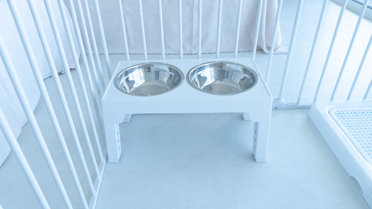 ボウル_ペットプラン