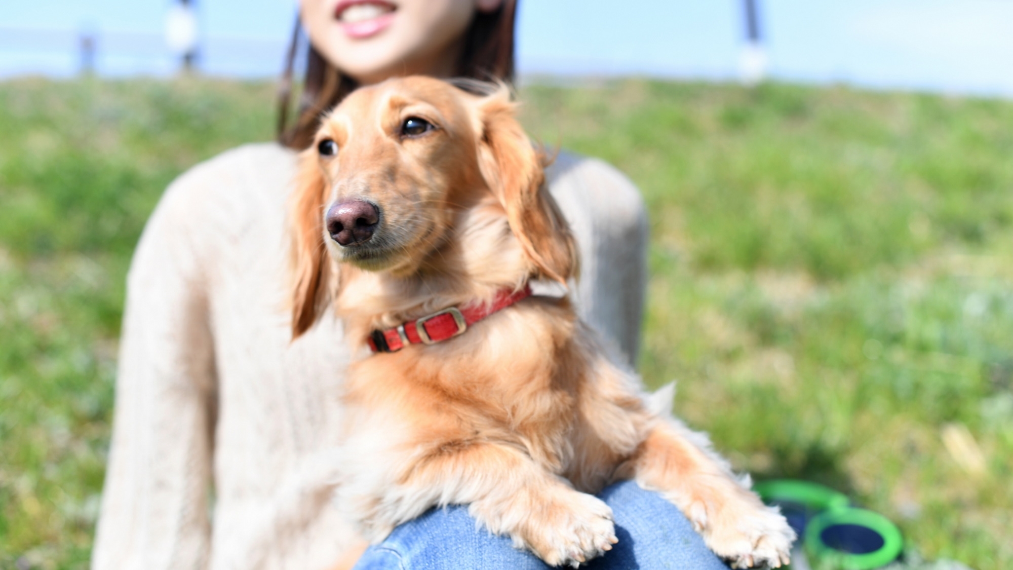 【室数限定】＜1人3000円OFF＞ペット歓迎！空きがあればラッキー☆お得にステイプラン