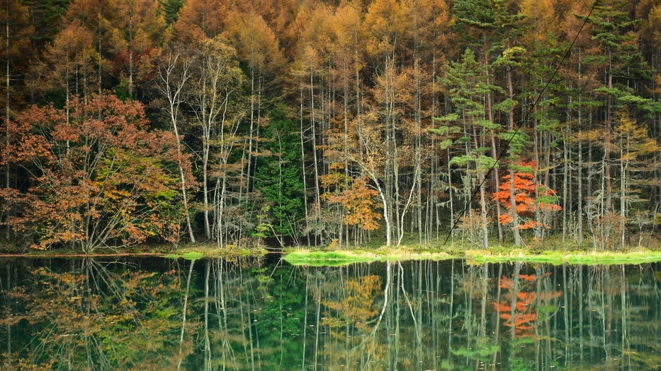 【秋冬SALE】会員制リゾートで別荘体験！リゾートを満喫