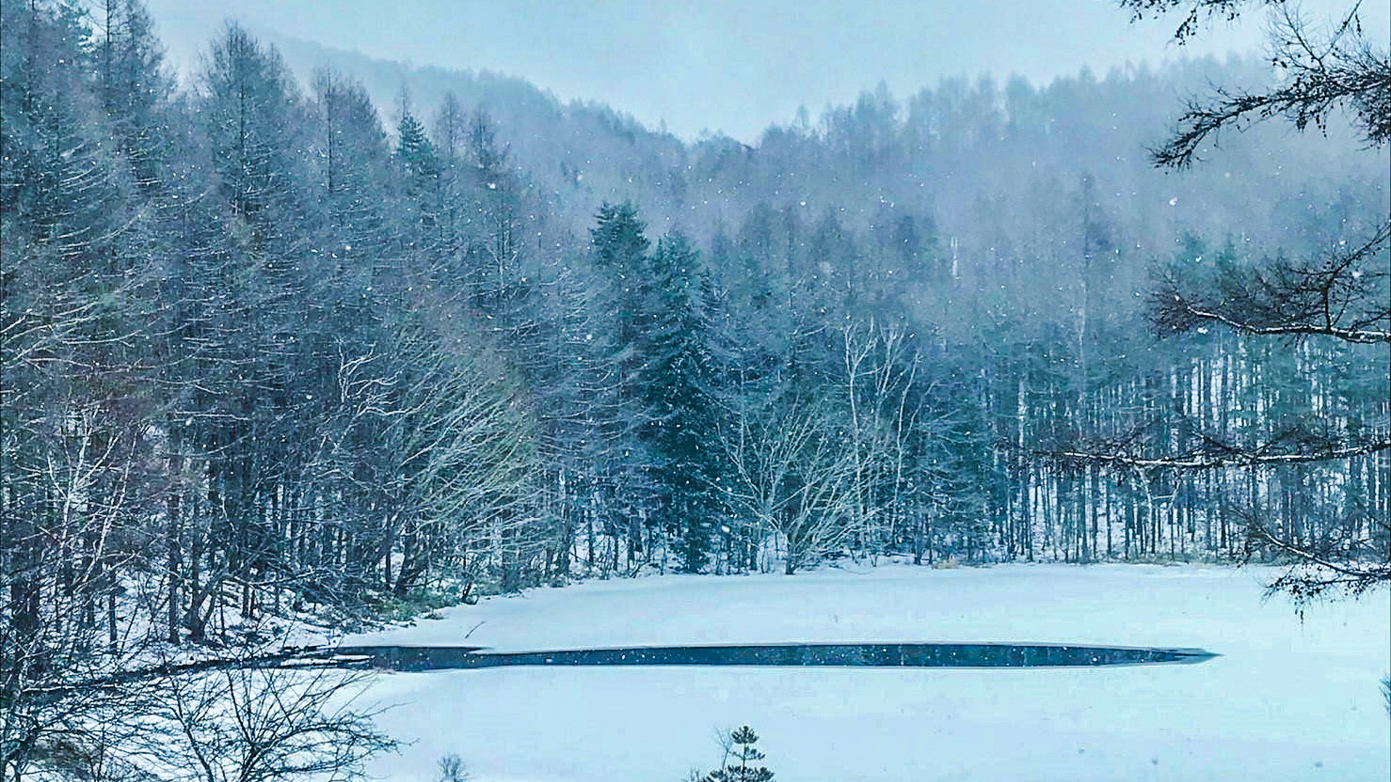 【御射鹿池】冬には雪化粧をしまた違った一面を見せてくれます（当館より車で25分）