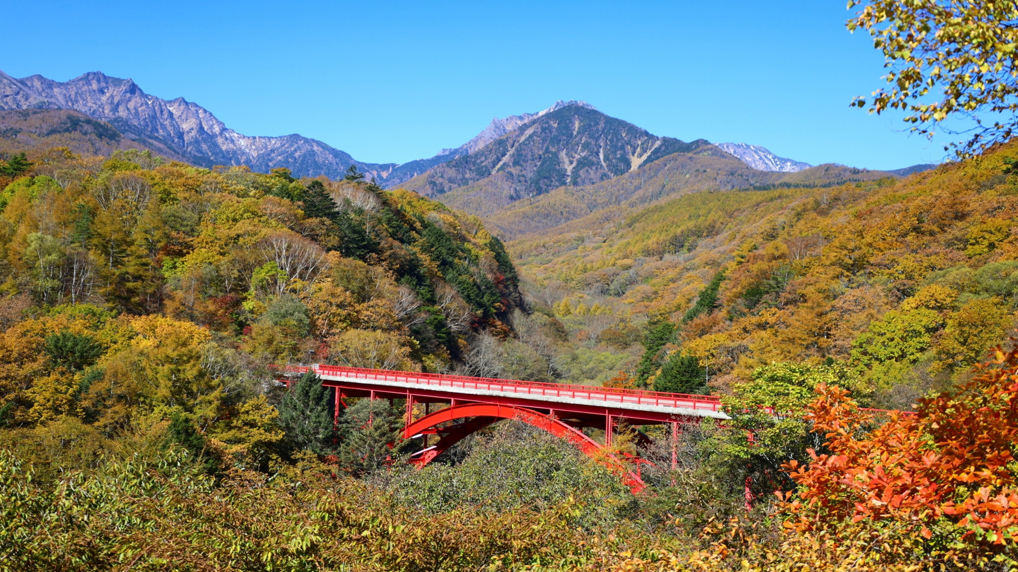 【八ヶ岳】長野県と山梨県へ南北に連なる日本百名山