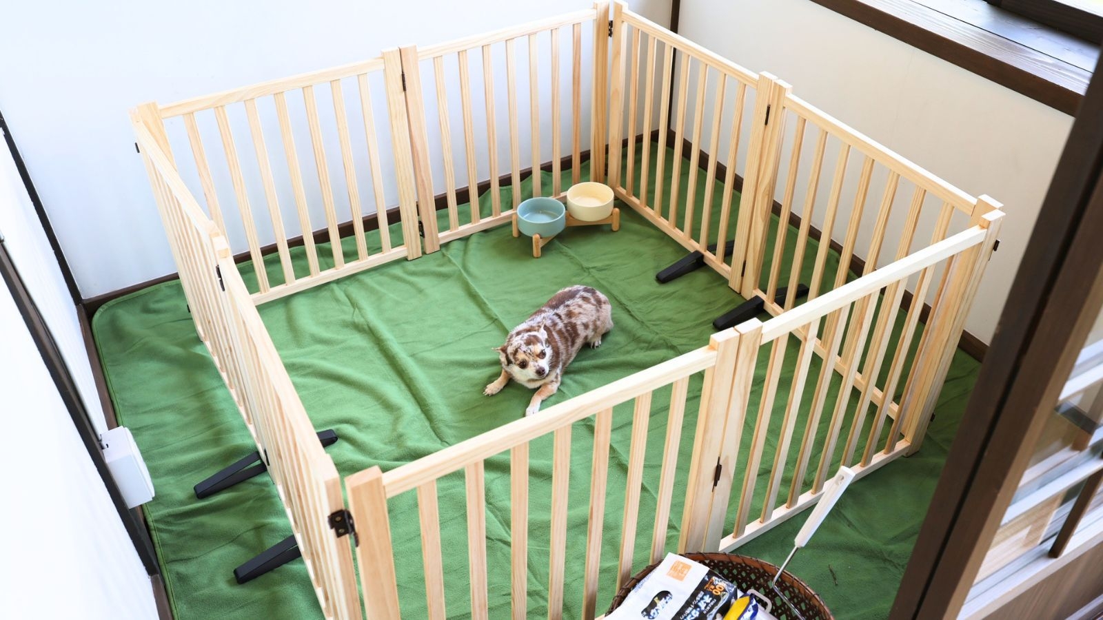 【ペット可モニタープラン｜1泊朝食】57平米の古民家客室で愛犬と一緒に佐渡島を満喫｜まちごと愉しむ