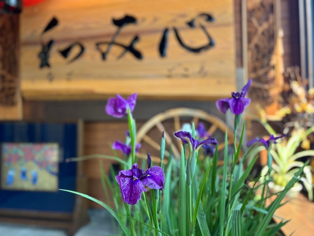 季節の花「紫陽花」と共に