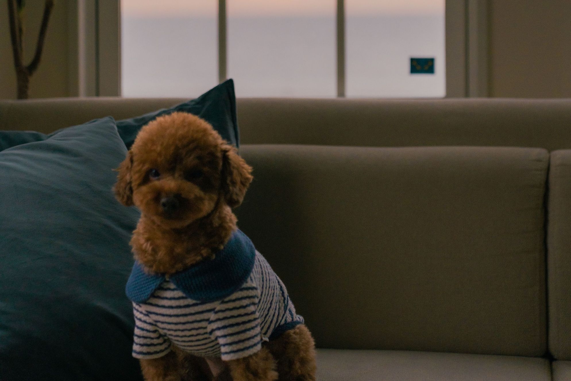 【記念特典＋期間限定15％OFF】鍋もBBQも楽しめる♪秋冬限定の食事プラン