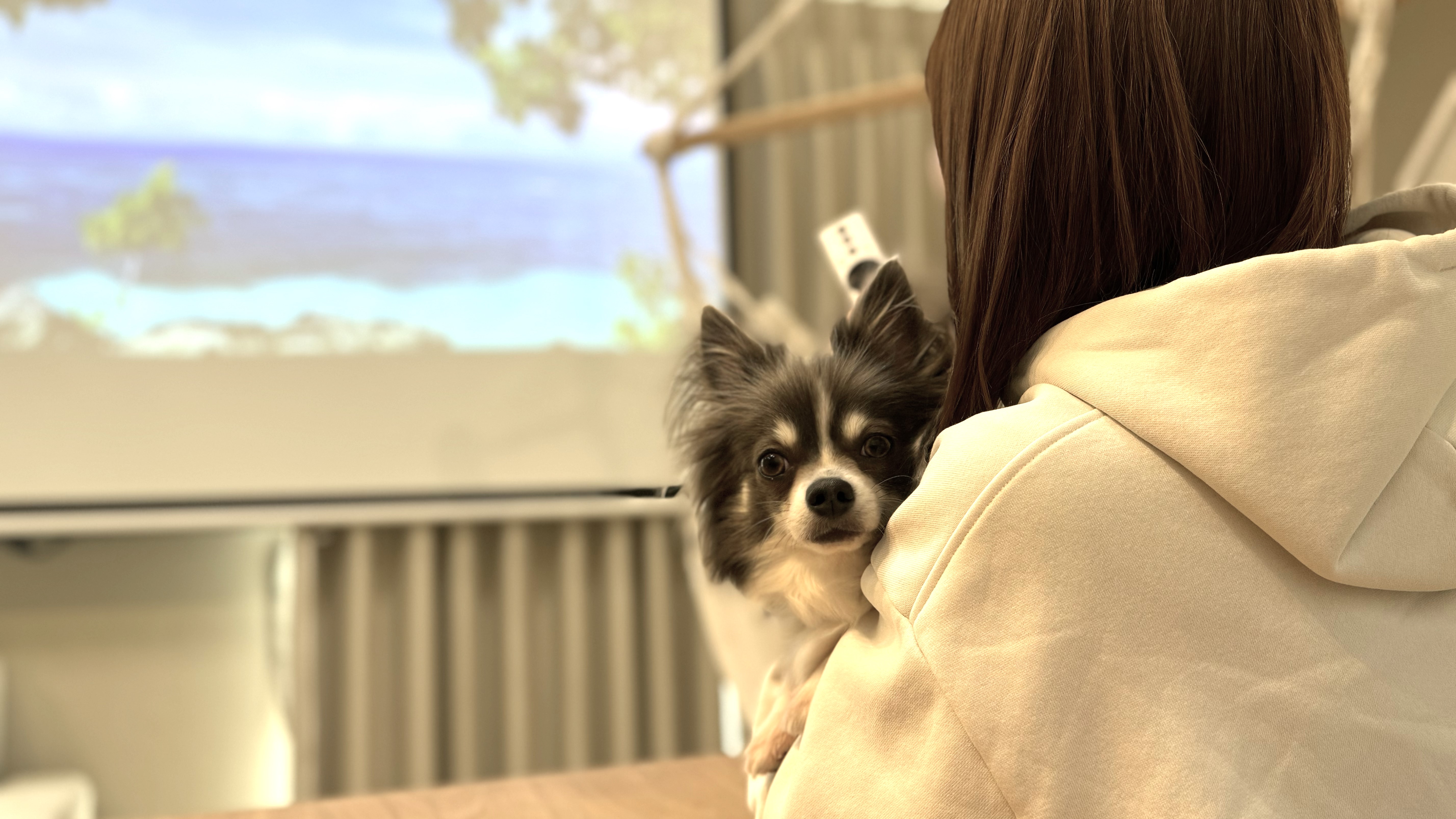 プロジェクター