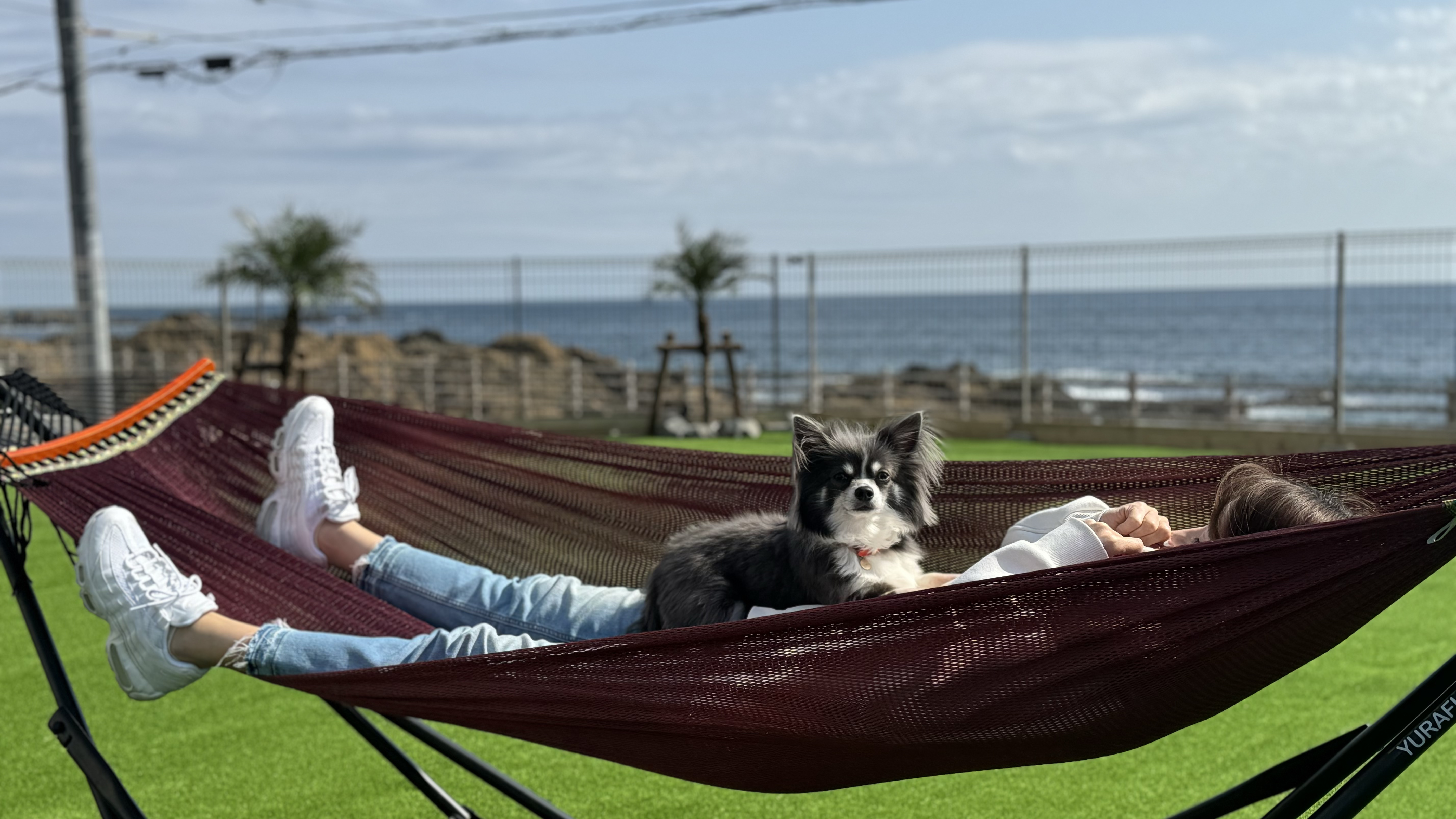 ワンちゃんとお過ごしいただけます